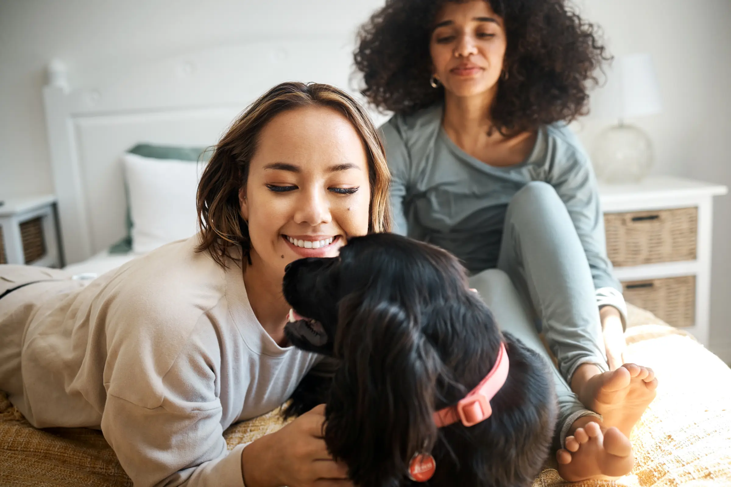 Aviseo report on rental housing 2023