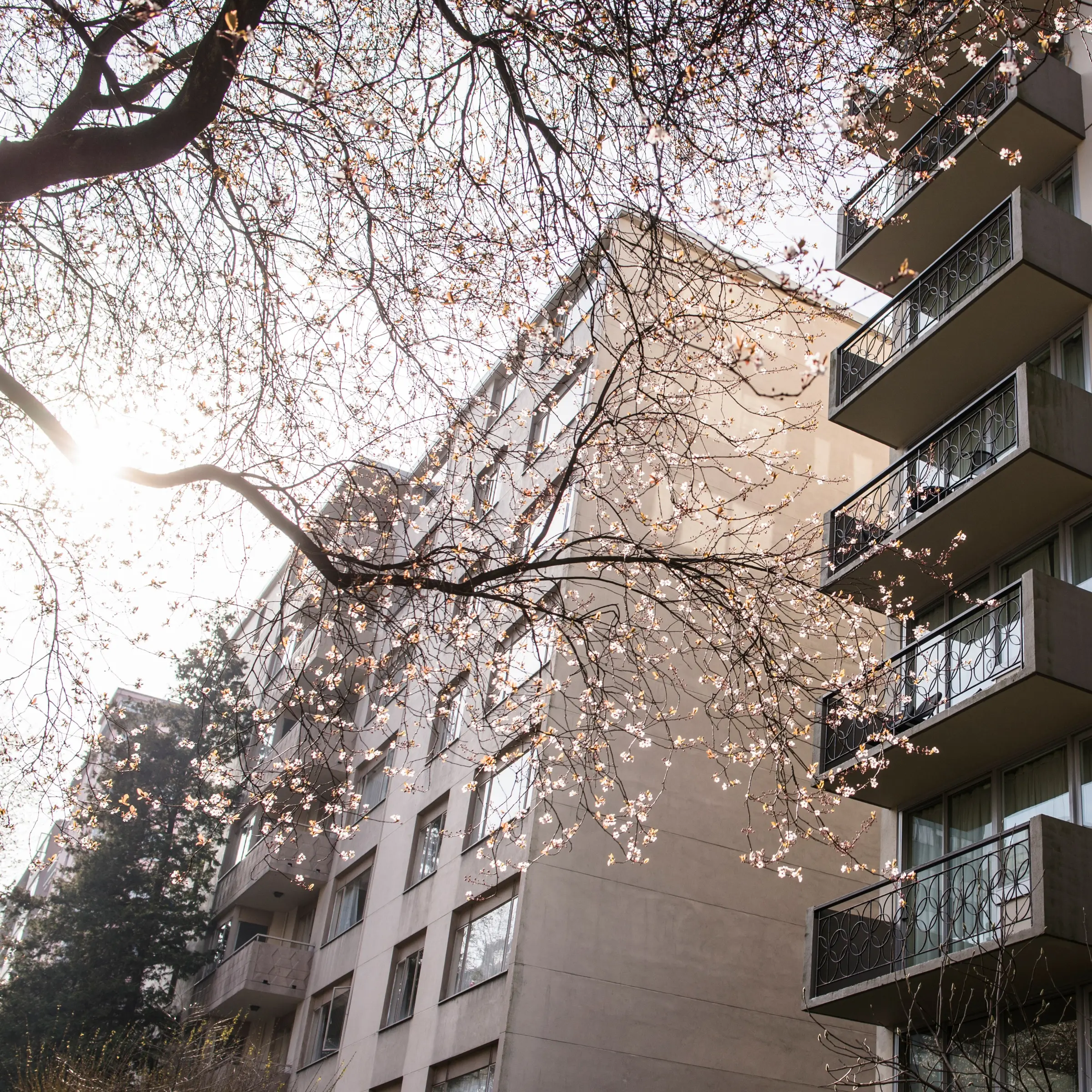 CORPIQ proposes 32 solutions to the housing crisis