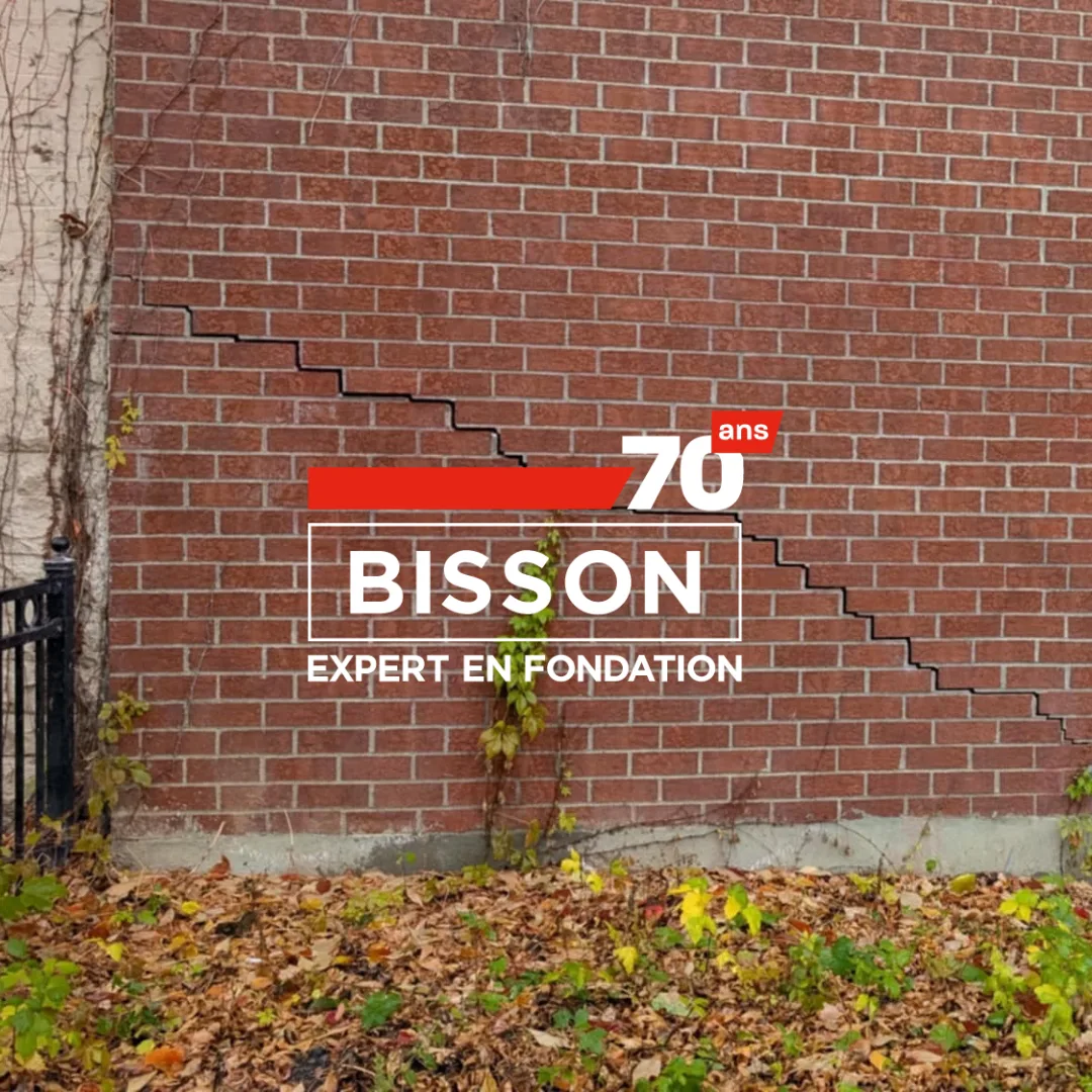 Bisson Expert 1080x1080