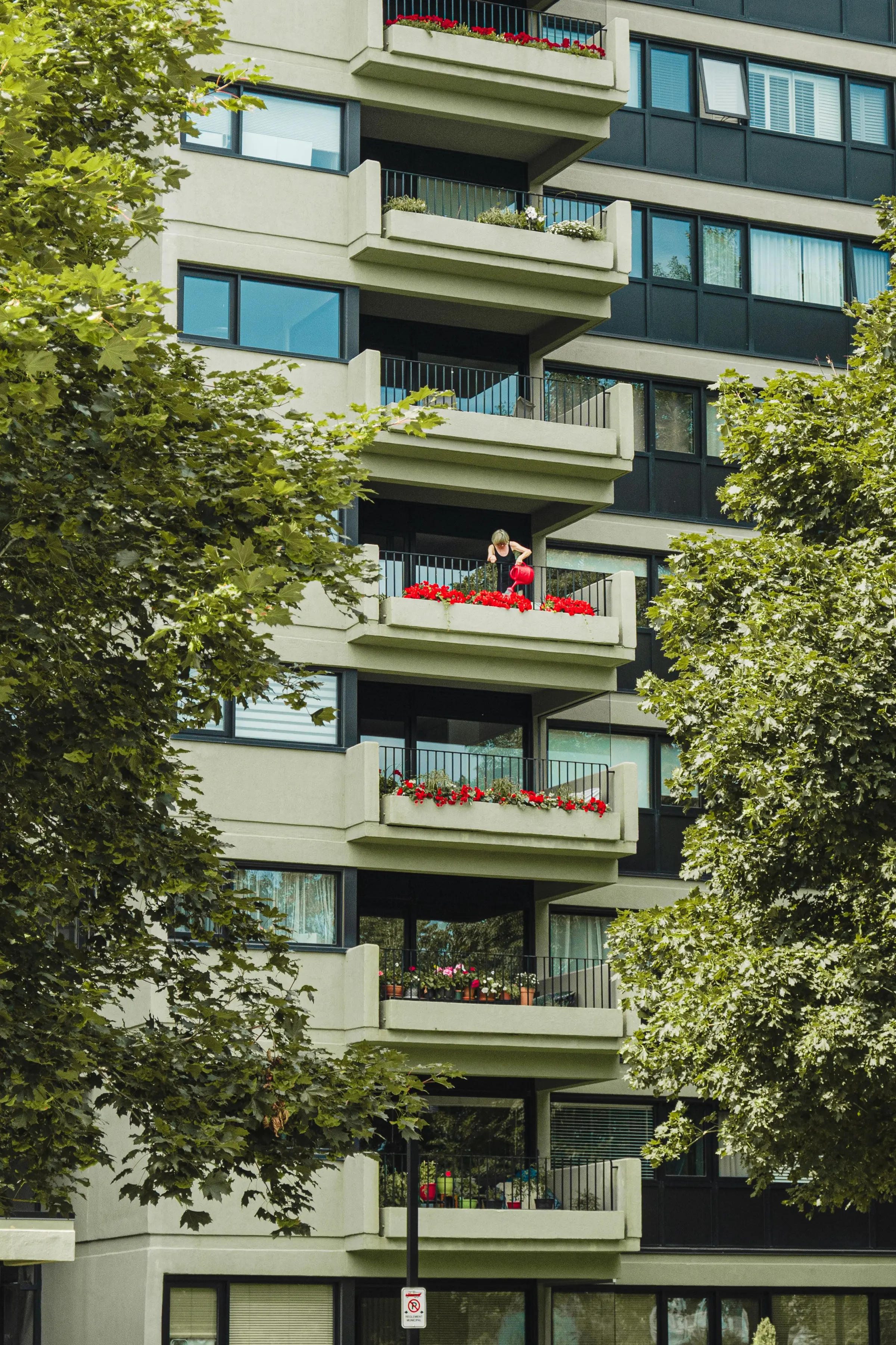 A woman watering flowers on the balcony of her rental unit ahead of the 2026 election