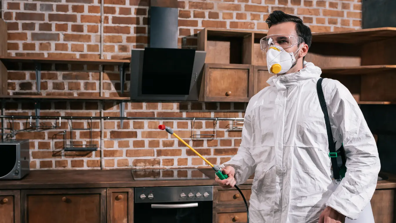 Homme faisant de l'extermination dans un immeuble locatif